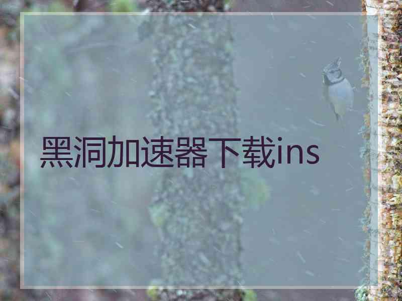 黑洞加速器下载ins