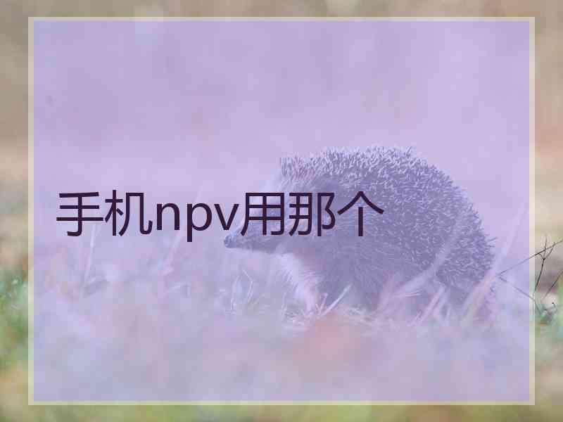 手机npv用那个