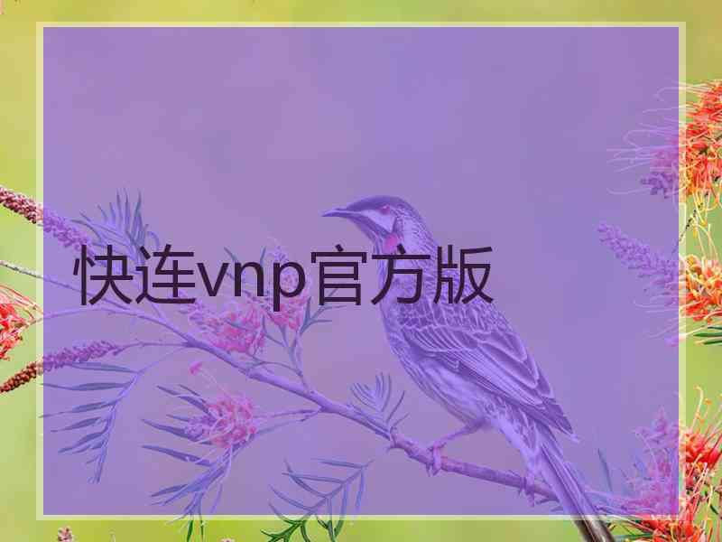 快连vnp官方版