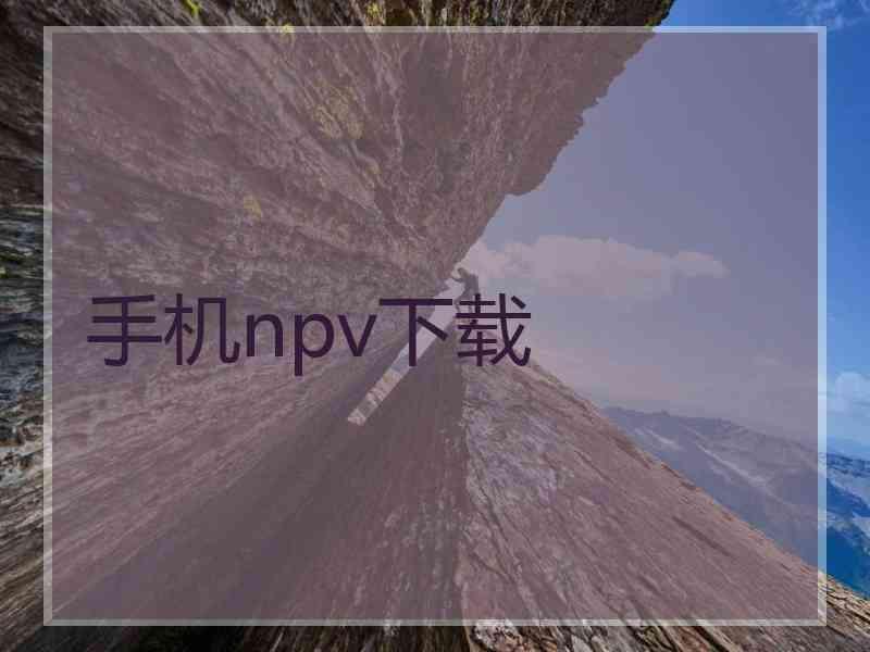 手机npv下载