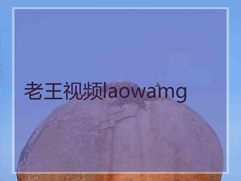 老王视频laowamg