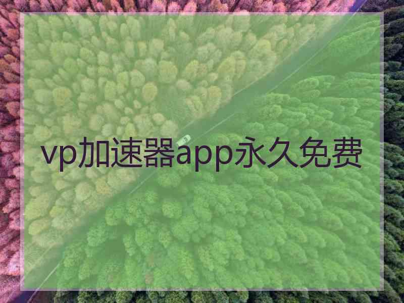 vp加速器app永久免费