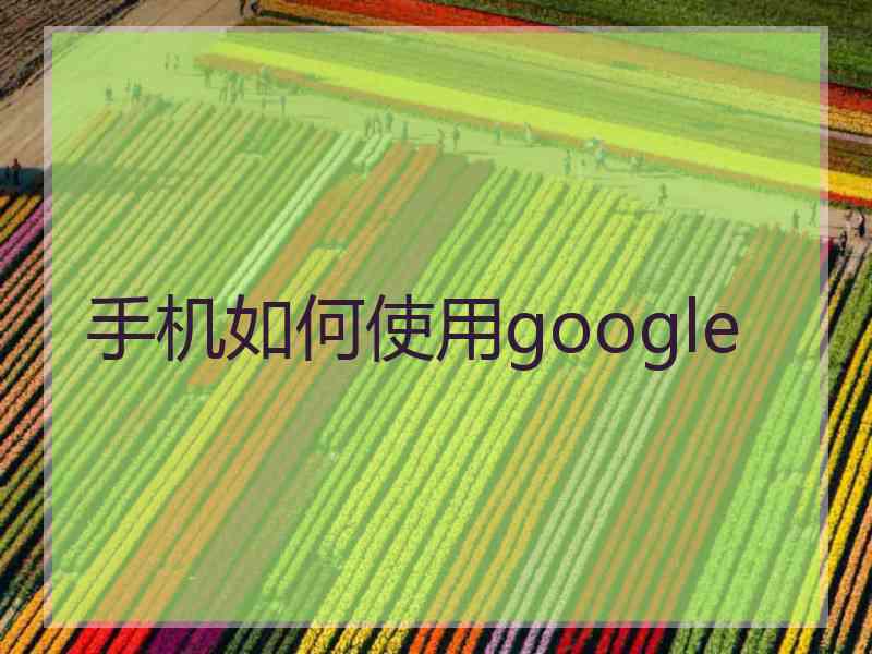 手机如何使用google