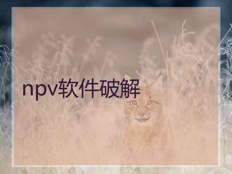 npv软件破解