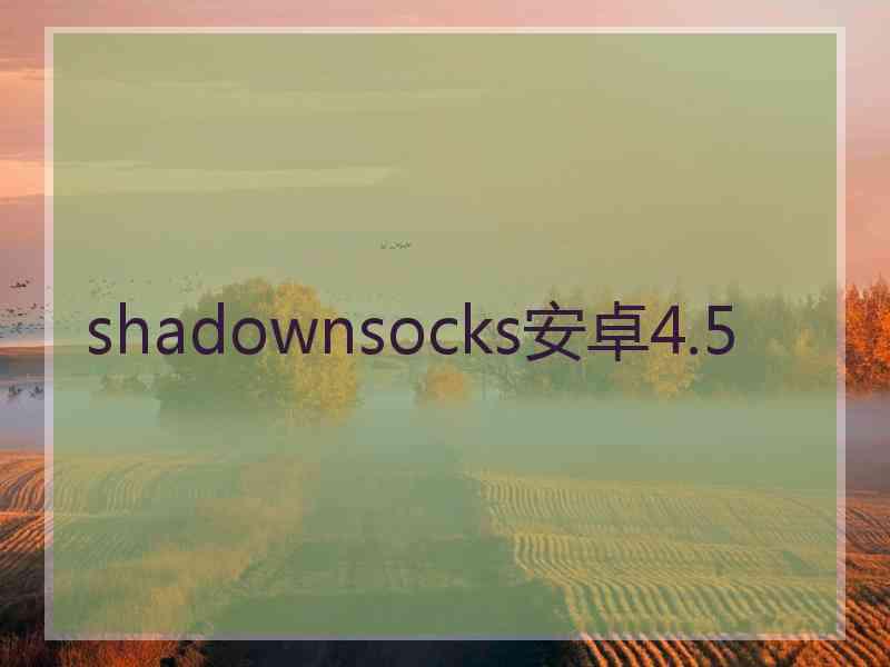 shadownsocks安卓4.5