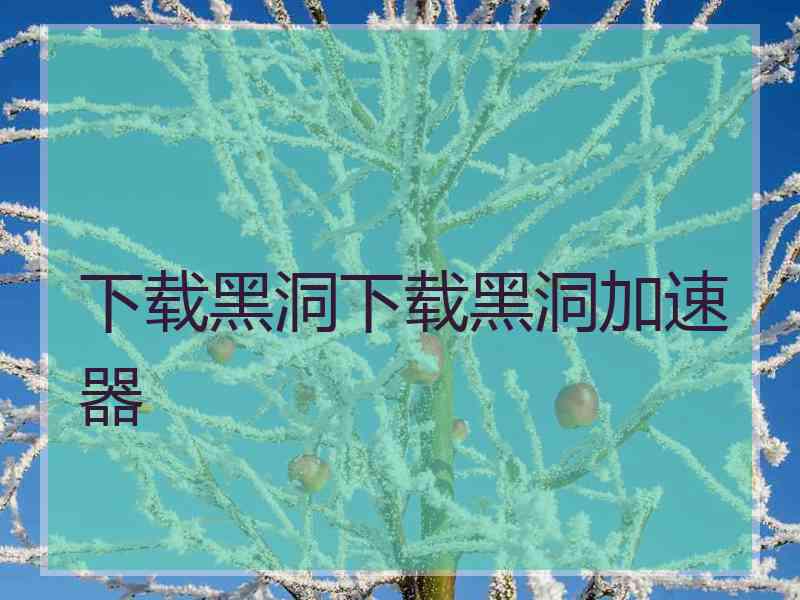 下载黑洞下载黑洞加速器