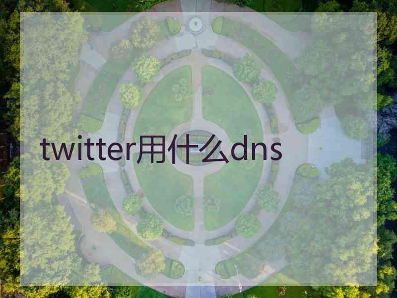 twitter用什么dns