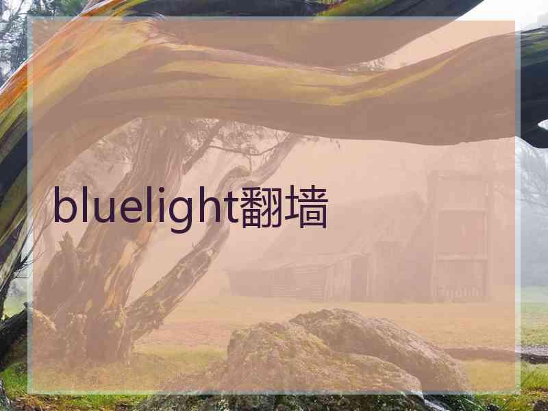 bluelight翻墙