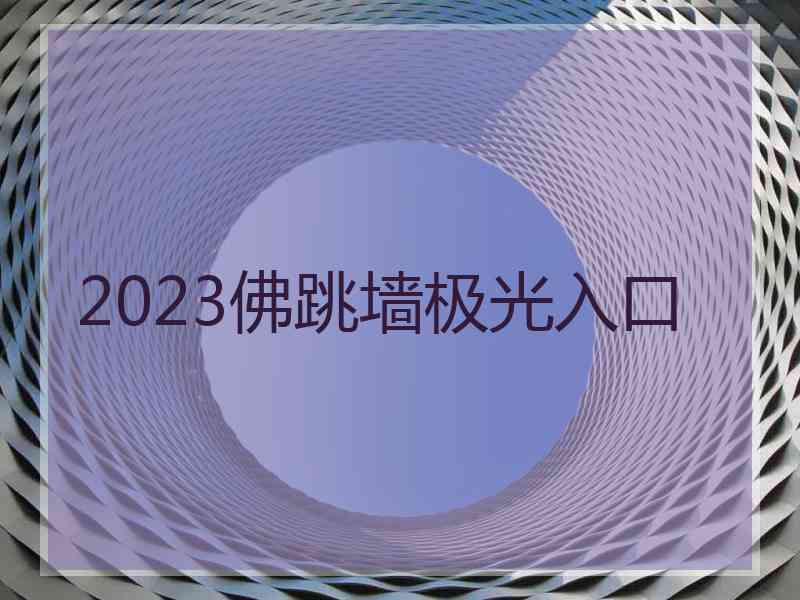 2023佛跳墙极光入口