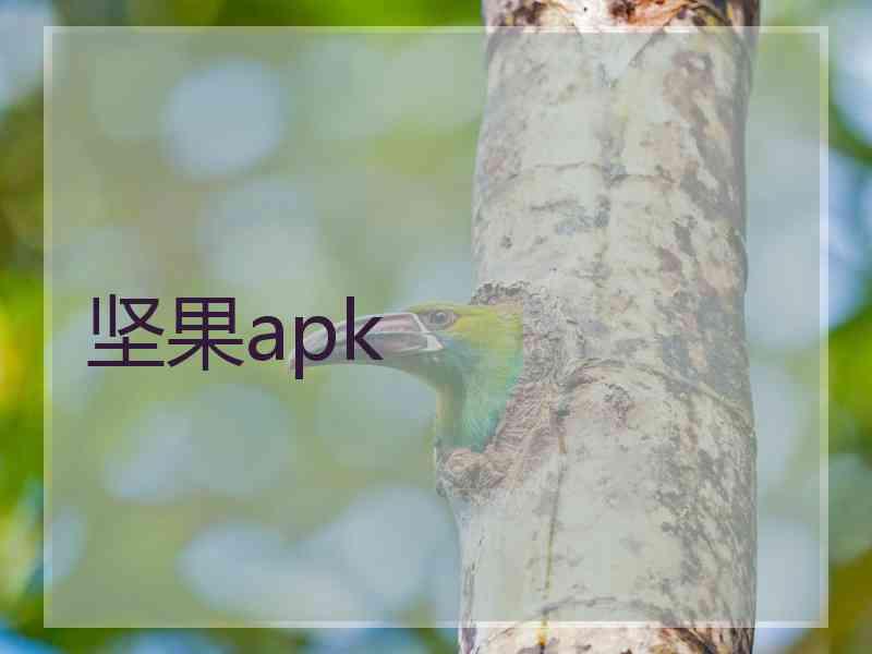 坚果apk