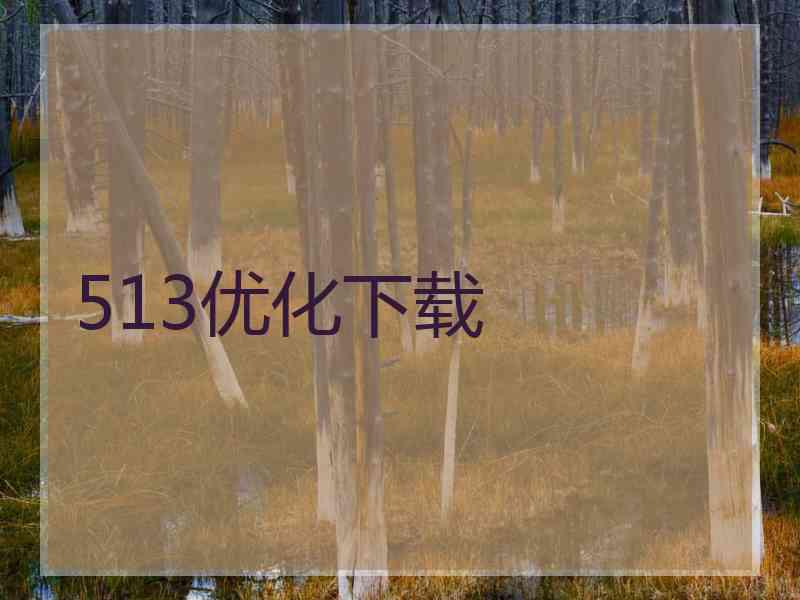 513优化下载