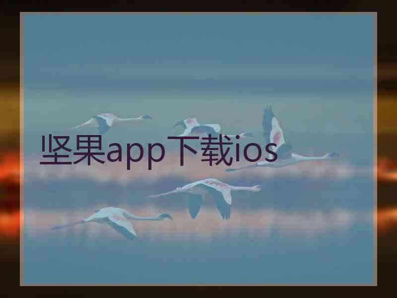 坚果app下载ios