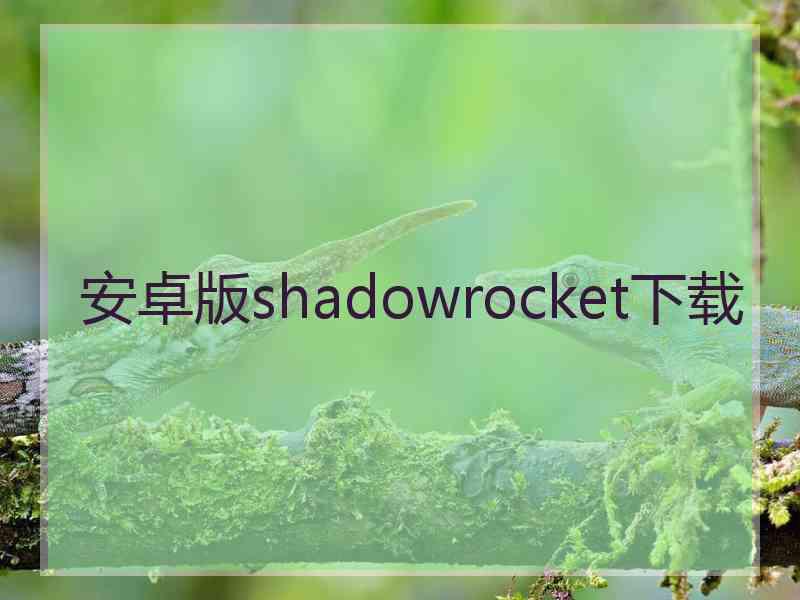 安卓版shadowrocket下载