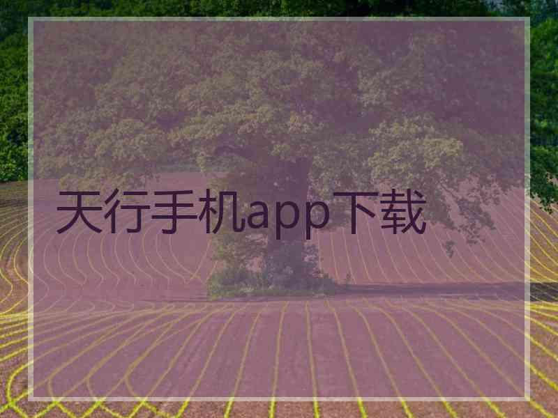 天行手机app下载