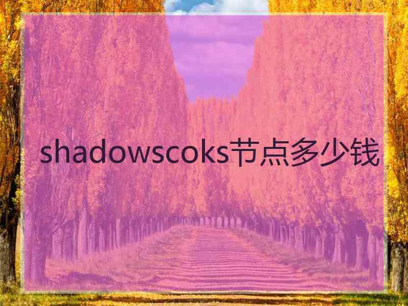 shadowscoks节点多少钱