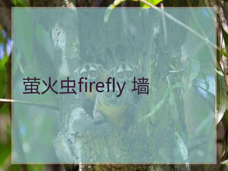 萤火虫firefly 墙