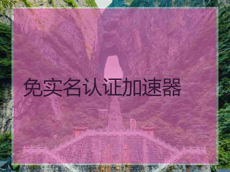 免实名认证加速器