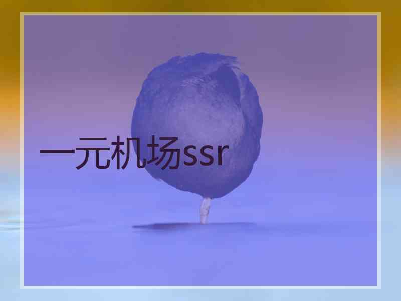 一元机场ssr