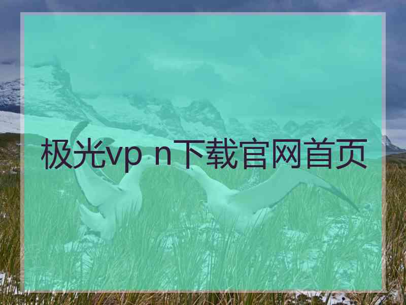 极光vp n下载官网首页