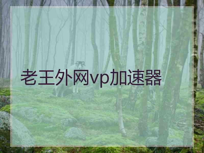 老王外网vp加速器