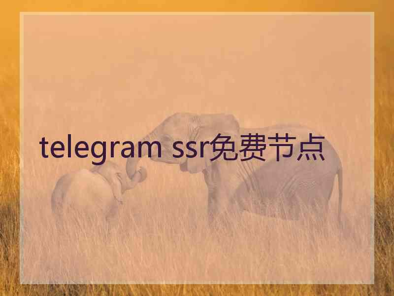 telegram ssr免费节点