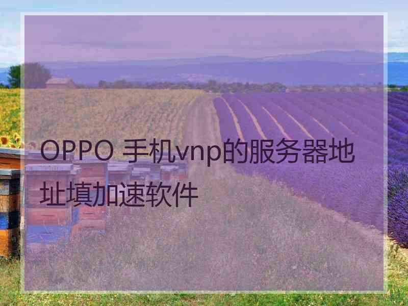 OPPO 手机vnp的服务器地址填加速软件