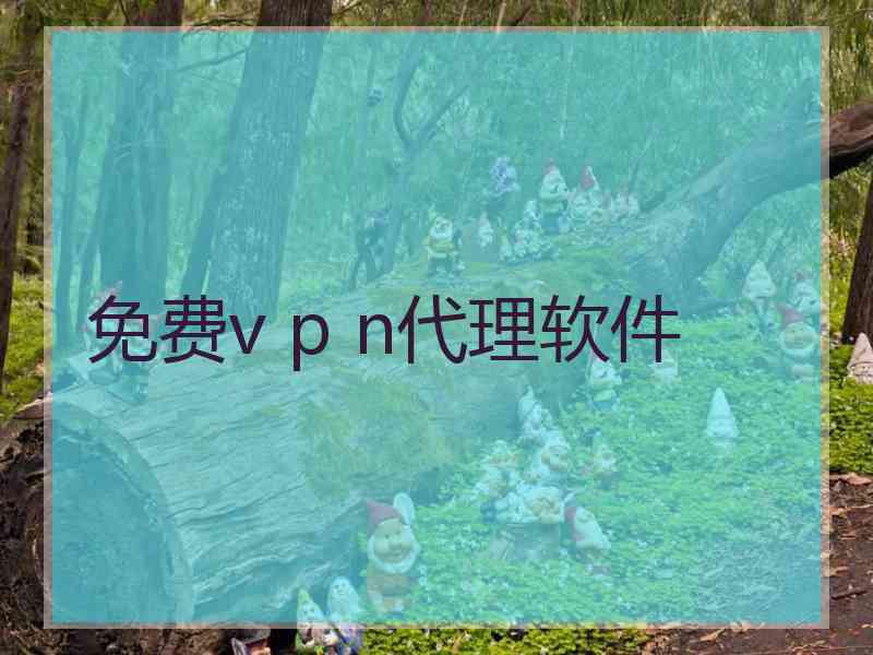 免费v p n代理软件