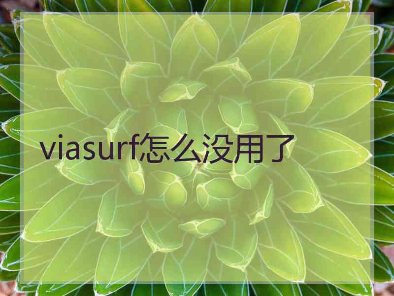 viasurf怎么没用了