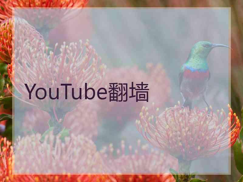 YouTube翻墙