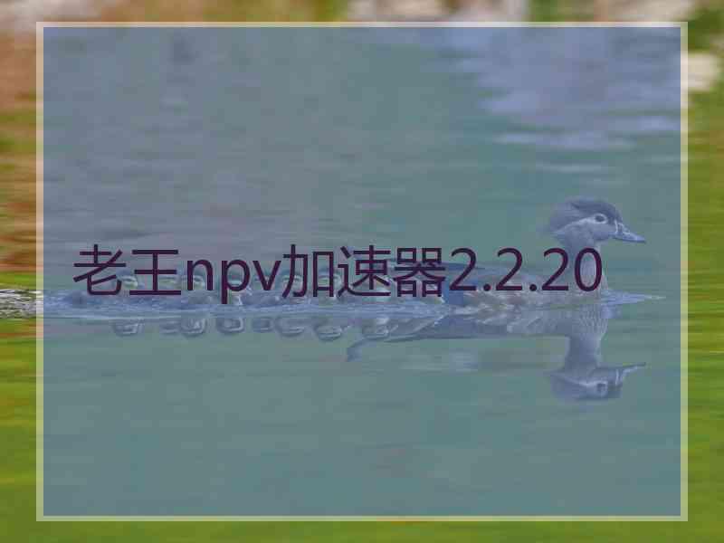 老王npv加速器2.2.20