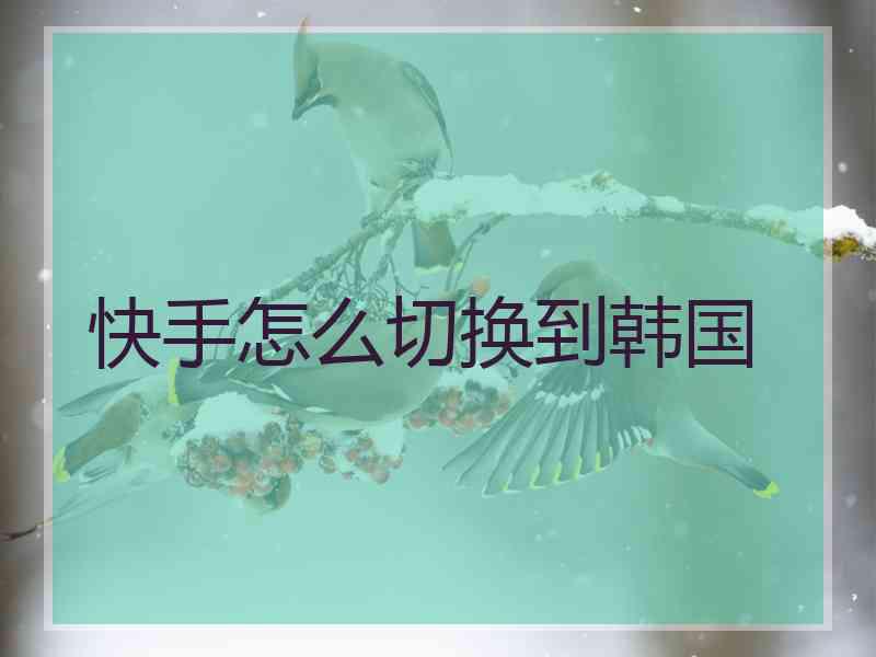 快手怎么切换到韩国