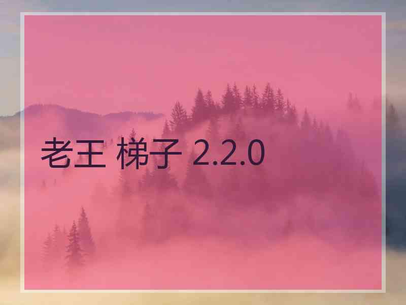 老王 梯子 2.2.0