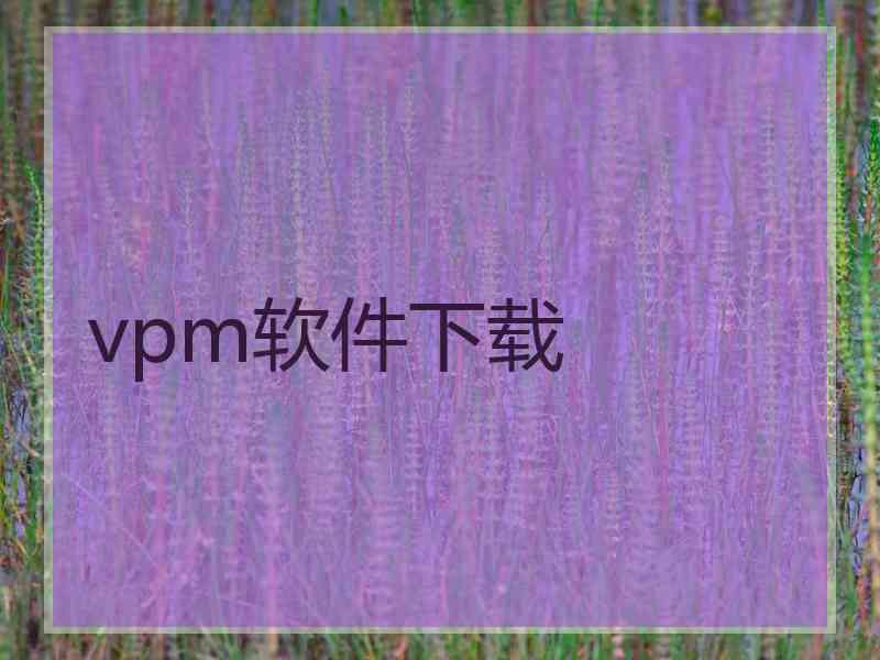 vpm软件下载