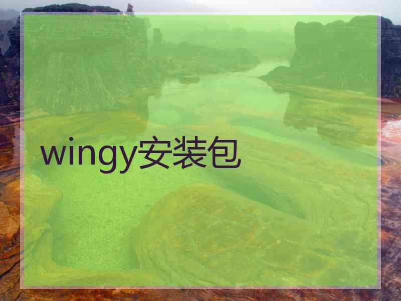 wingy安装包