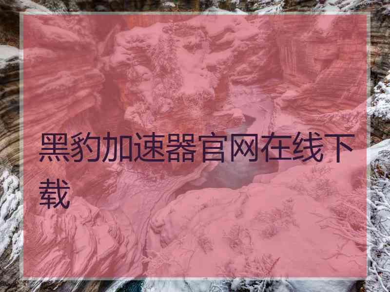 黑豹加速器官网在线下载