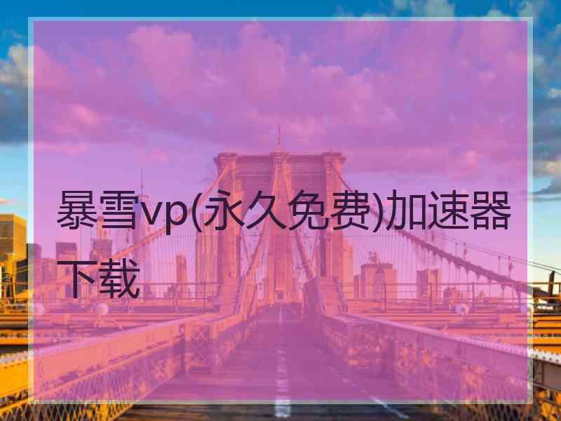 暴雪vp(永久免费)加速器下载