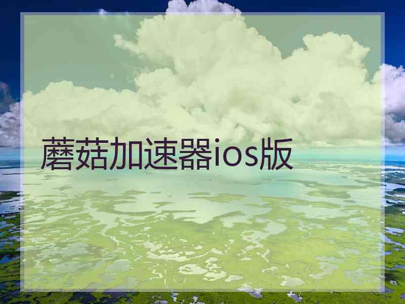 蘑菇加速器ios版