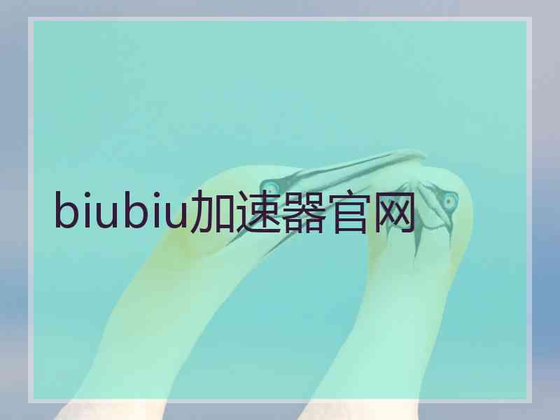 biubiu加速器官网