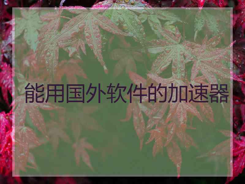 能用国外软件的加速器