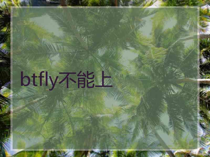 btfly不能上