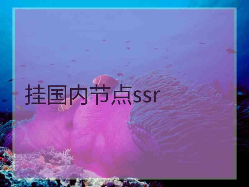 挂国内节点ssr