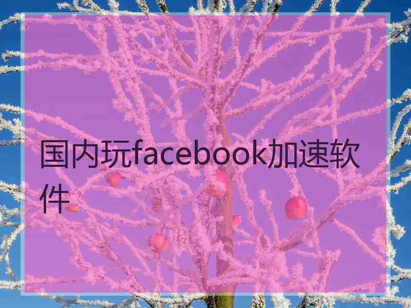 国内玩facebook加速软件