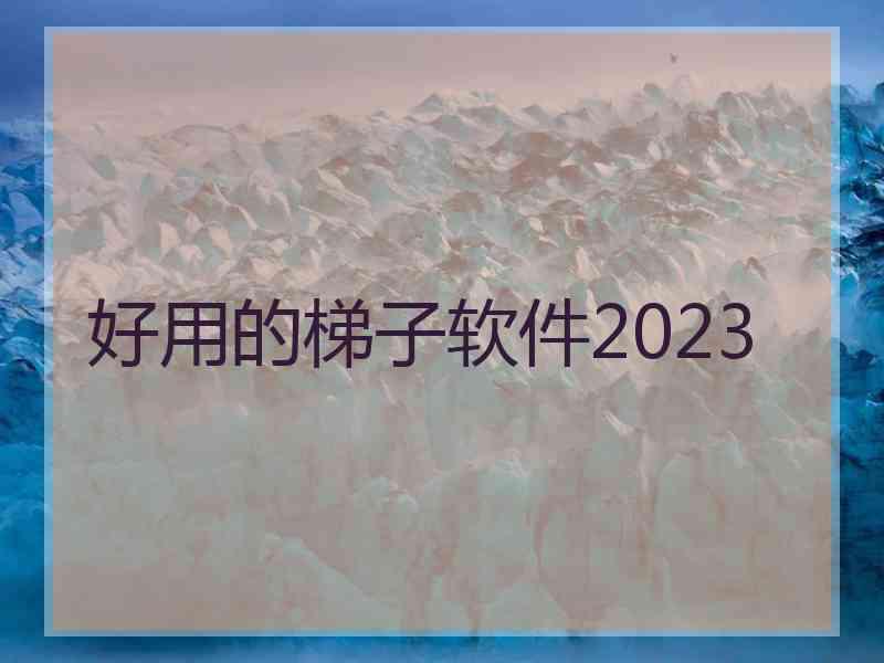 好用的梯子软件2023