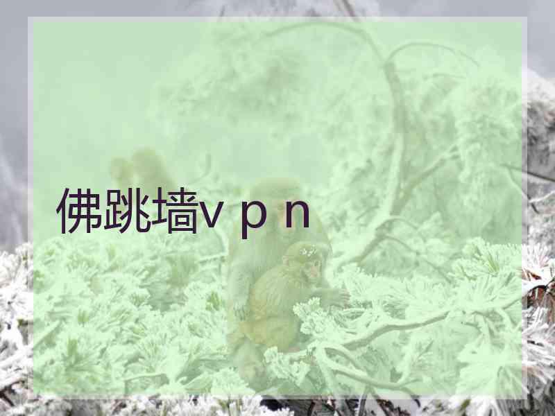 佛跳墙v p n