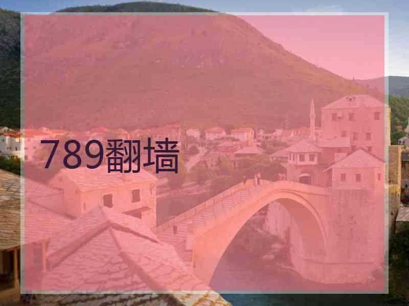 789翻墙