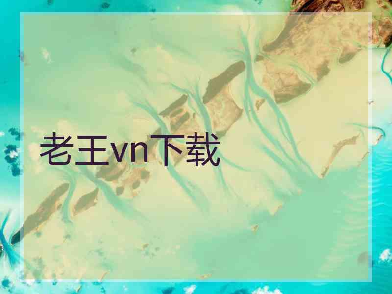 老王vn下载