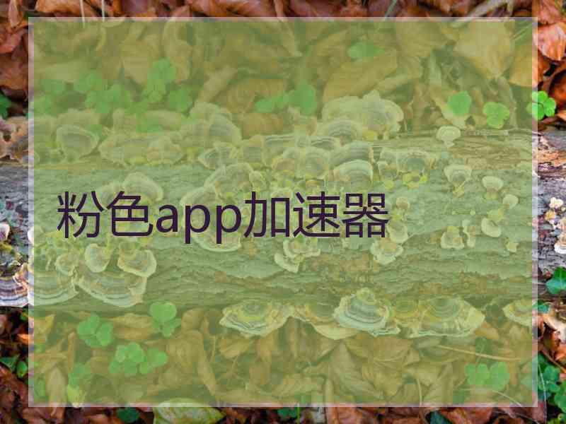 粉色app加速器