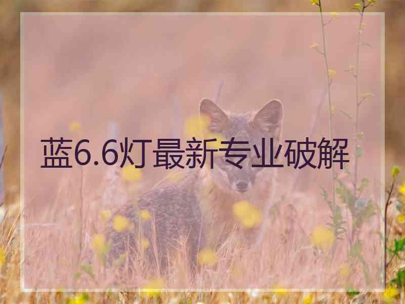 蓝6.6灯最新专业破解