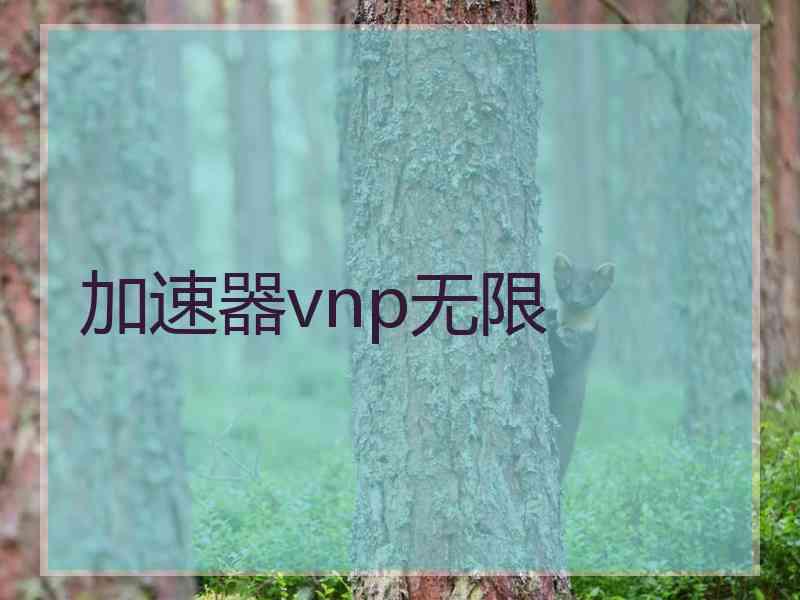 加速器vnp无限