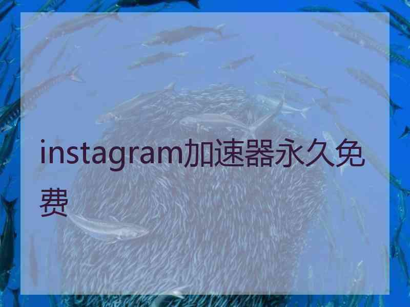 instagram加速器永久免费